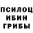 Псилоцибиновые грибы Cubensis Lena Olkinyan