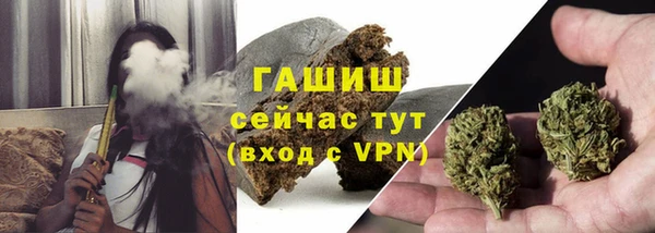 дмт Новозыбков