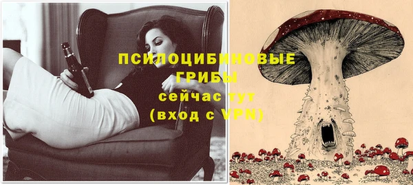 гидра Новодвинск