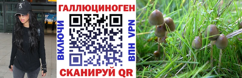 Псилоцибиновые грибы GOLDEN TEACHER  Сланцы 