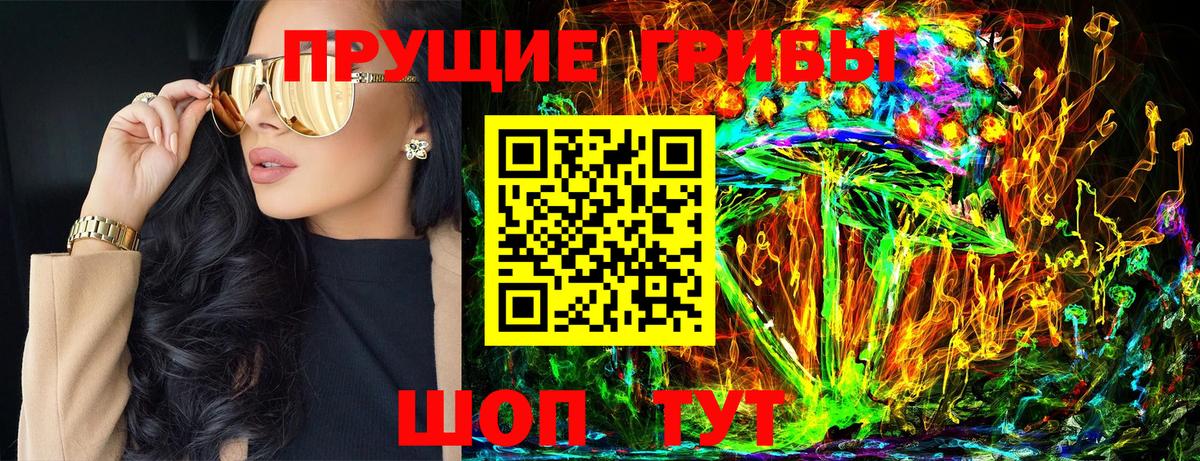 Псилоцибиновые грибы Psilocybe  как найти наркотики  Галлюциногенные грибы MAGIC MUSHROOMS  Сланцы  Вход с VPN 