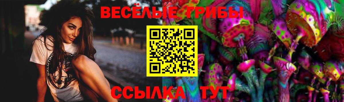 Галлюциногенные грибы Psilocybine cubensis Сланцы