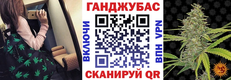 где продают наркотики  Сланцы  Шишки марихуана Amnesia 